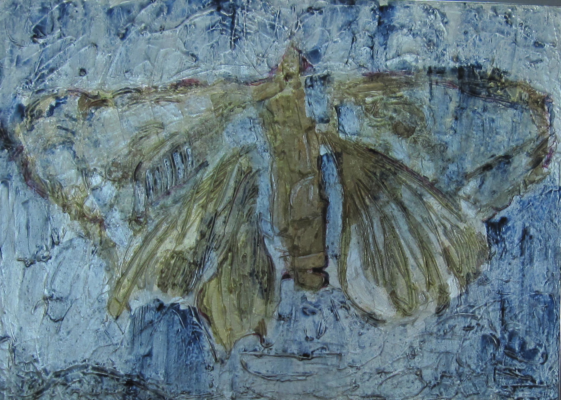 Fossil Butterfly 1
